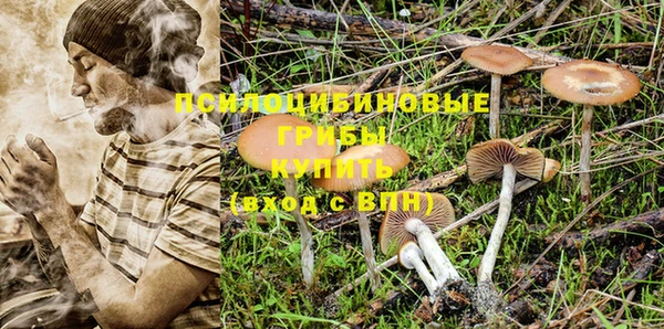 первитин Абдулино