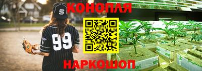 стаф Бугуруслан