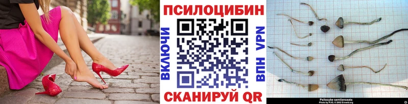 Галлюциногенные грибы Psilocybine cubensis  Моздок 