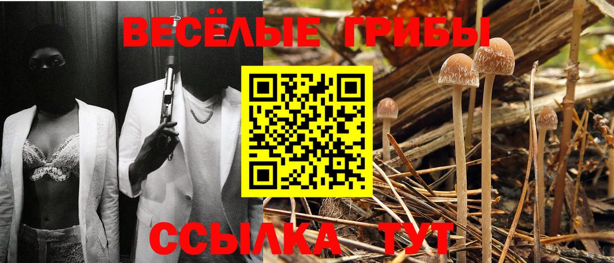 Псилоцибиновые грибы Psilocybine cubensis  Галлюциногенные грибы Psilocybine cubensis  Вход с VPN  Моздок 