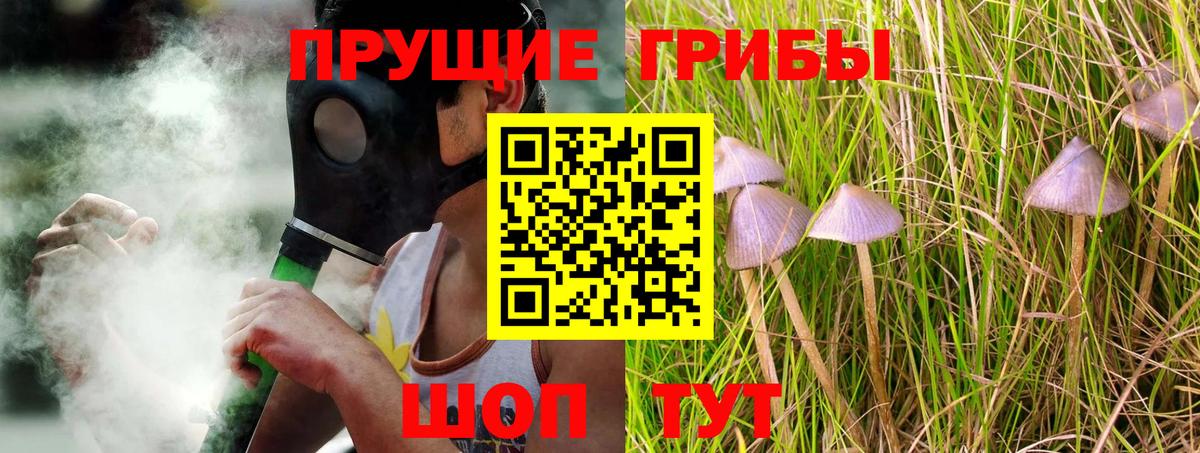 Псилоцибиновые грибы Psilocybine cubensis Моздок